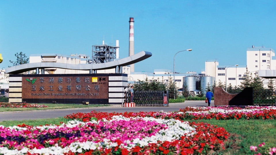 Fifty years of prosperity and development in China