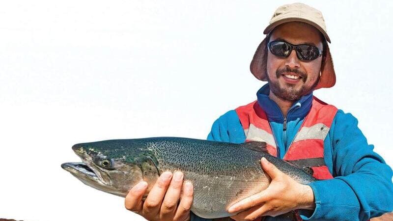 Aquaculture salmon farmer with large fish