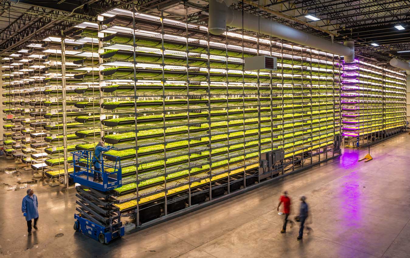 Cargill to partner with AeroFarms
