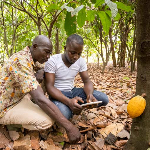 Couple of men using CocoaWise portal Couple of men using CocoaWise portal