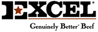 Excel Logo