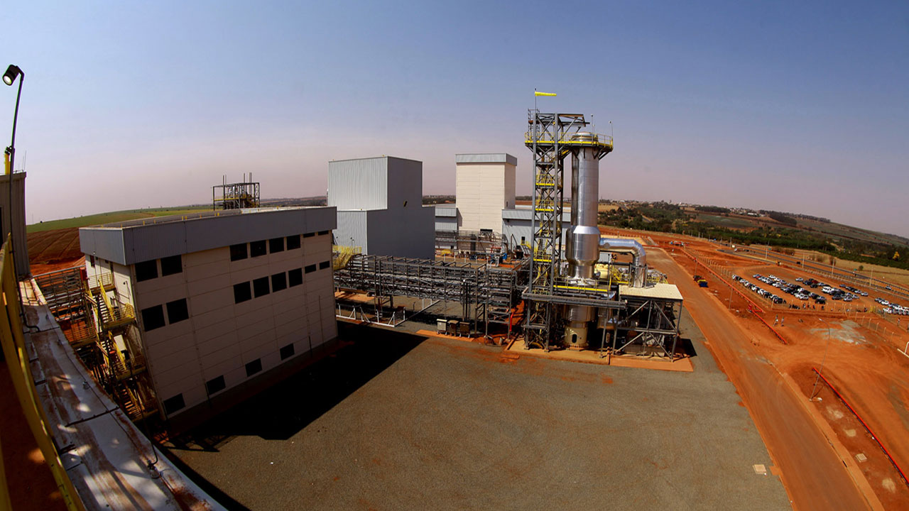 pectin plant-Brazil