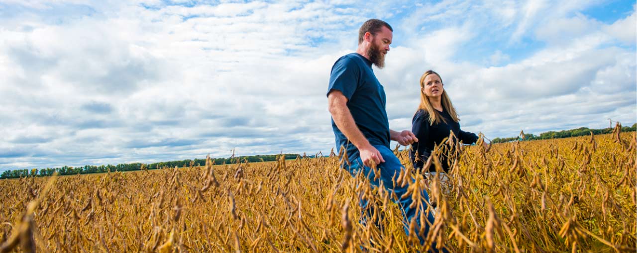 couple of people in a field image
