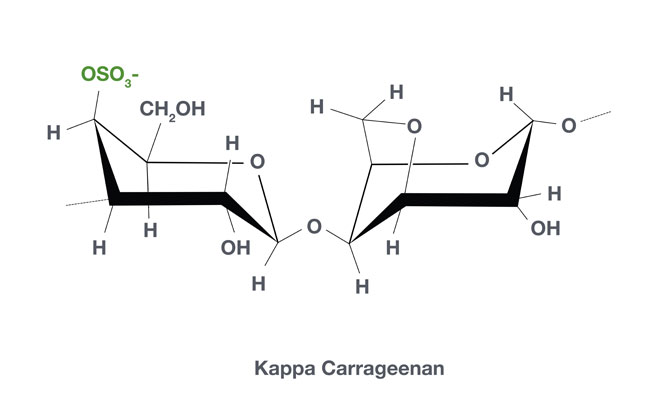 Cargill to launch satiagel kappa carrageenan Cargill