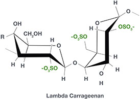 Cargill beauty news launch satiagel lambda carrageenan