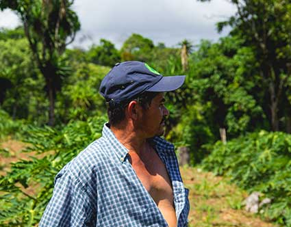 We are no longer subsistence producers Image-inbody