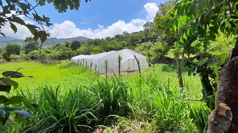 We are no longer subsistence producers Image-inbody