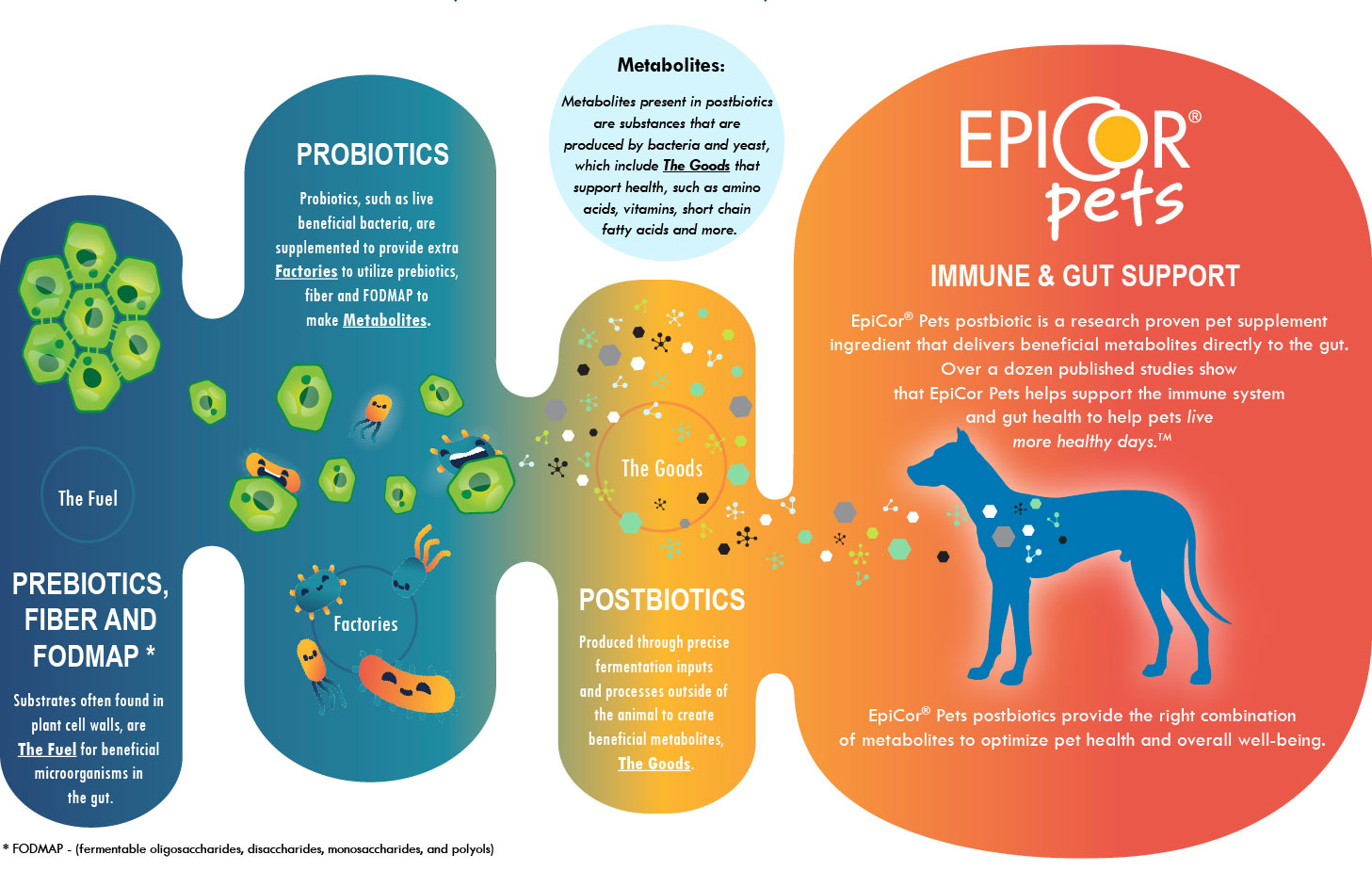 EpiCor Pets - Whats The Difference Infographic