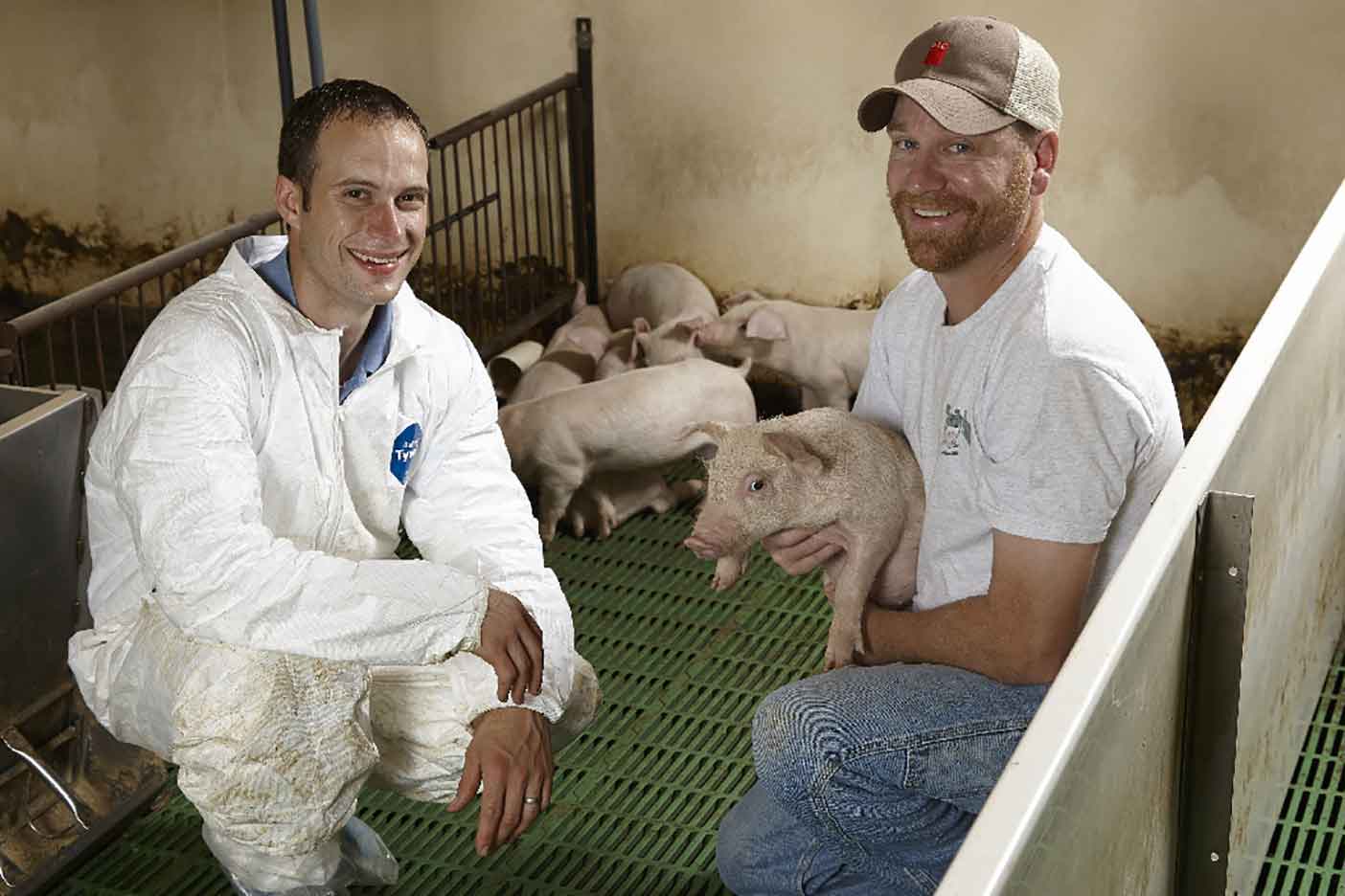 Young Pig Animal Nutrition -insideimage002