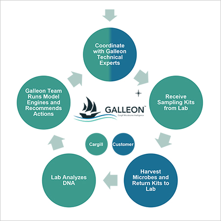 Galleon What You Get Infographic