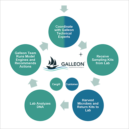 Galleon What You Get Infographic Galleon What You Get Infographic