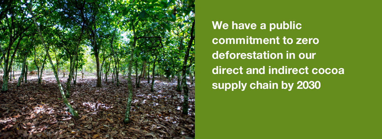 Sustainable Cocoa - Our Impact - Protect Our Planet - Carbon Footprint Quote