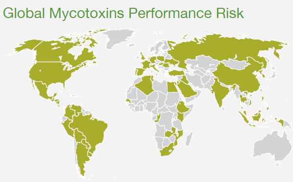 Cargill issues 2021 world mycotoxin report to give animal feed
