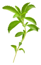 Sustainable Stevia Commitment