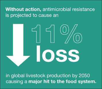 Without action, antimicrobial resistance is projected to cause an 11% loss in global livestock production by 2050 causing a major hit to the food system image