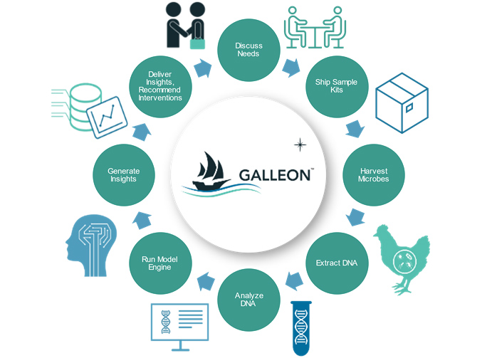 logotype of Galeon