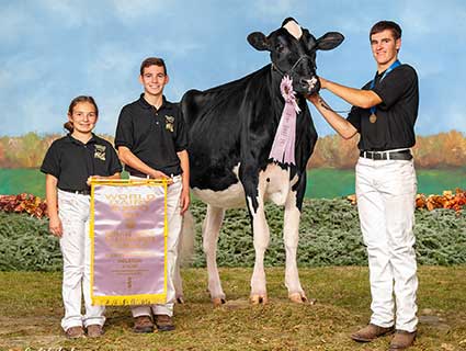 preview - HF show feed preview - HF show feed