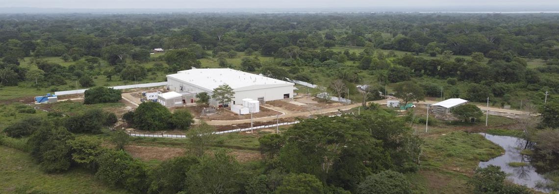 Colombian Chicken hatchery plant image