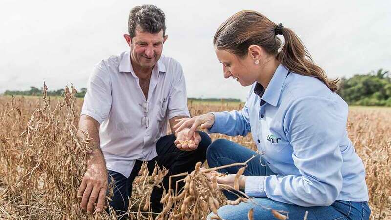 farmers in a field looking at crops 