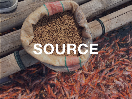 Care - Safeguarding farmed fish