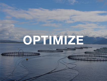 Care - Safeguarding farmed fish