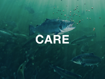 Care - Safeguarding farmed fish