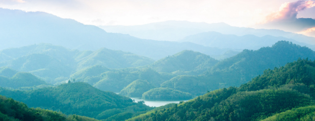 NatureCool is a clear leader in immersion cooling sustainability.