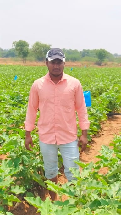 Manjunath Devendrappa -  farmer who grows brinjal 