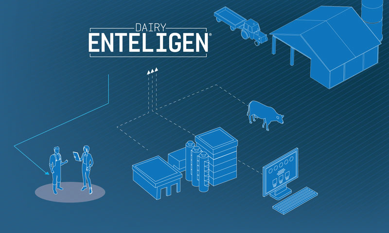 Dairy Enteligen - How it Works