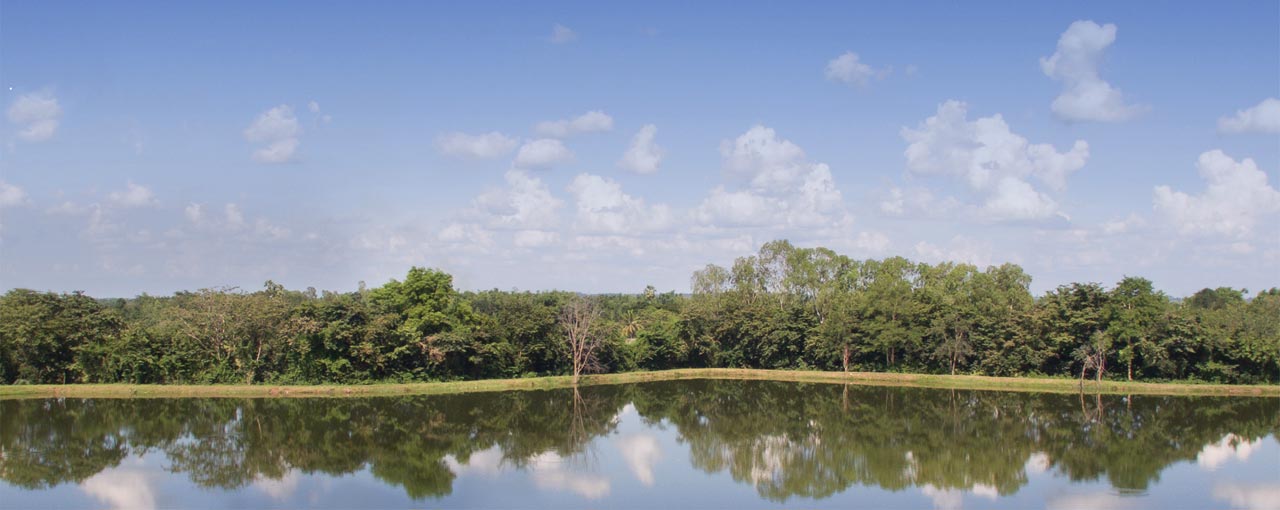lanadscape land and water image