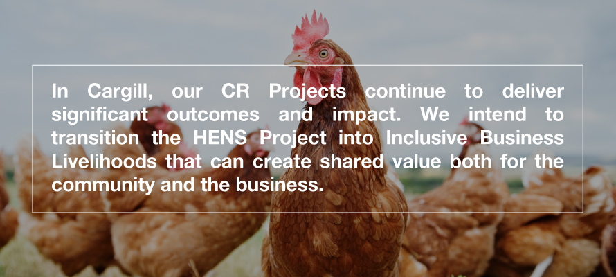 chickens image chickens image