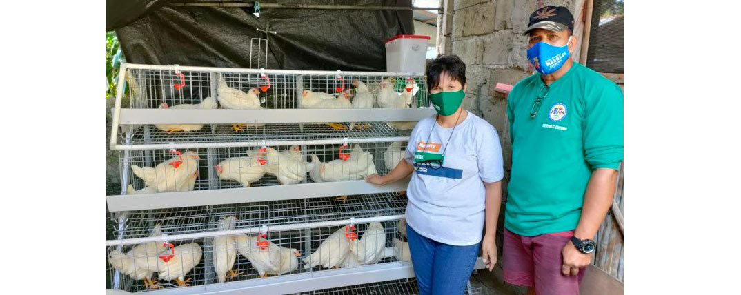 HENS project - backyard poultry farmers image