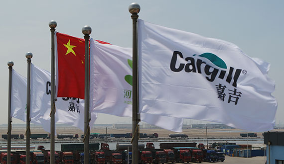 flags image
