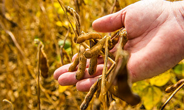 hand touching crop image