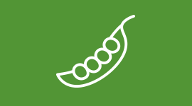 peas icon peas icon