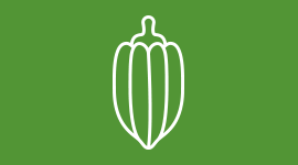 cocoa icon cocoa icon