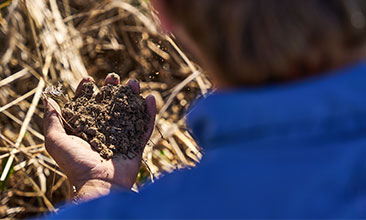 man looking at his palm full of soil image man looking at his palm full of soil image