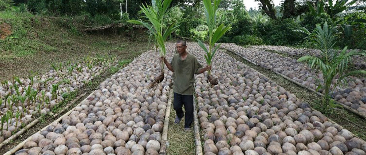 Our Commitments -image