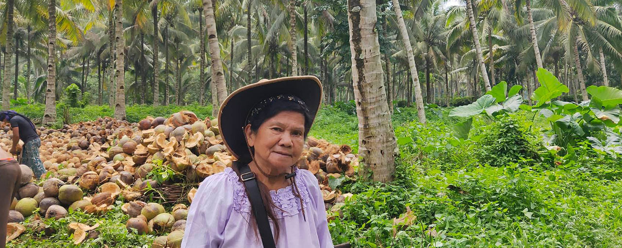 Our Sustainability Timeline -image