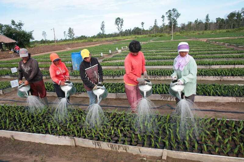 farmers watering crops