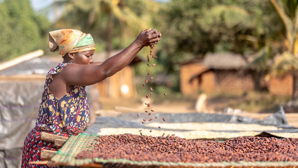 Woman in cocoa community image
