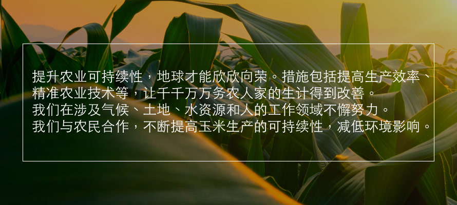 Making corn farming in China quote image