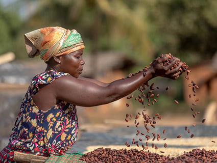 Woman cocoa farmer image