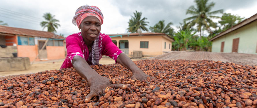 Woman in cocoa community smiling image