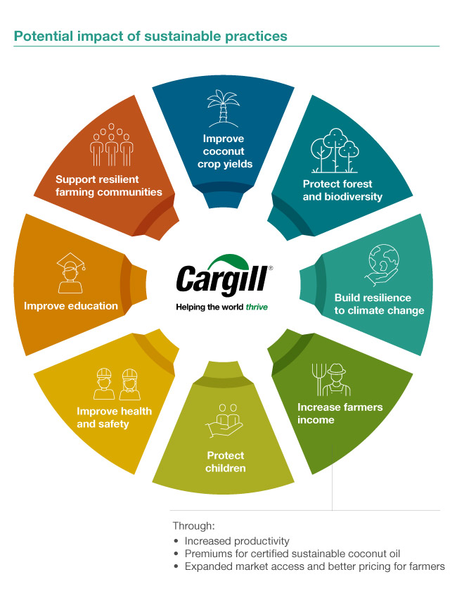 Potential impact of sustainable practices infographic