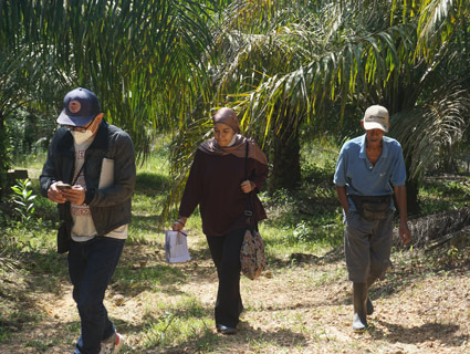 people palm trees image people palm trees image