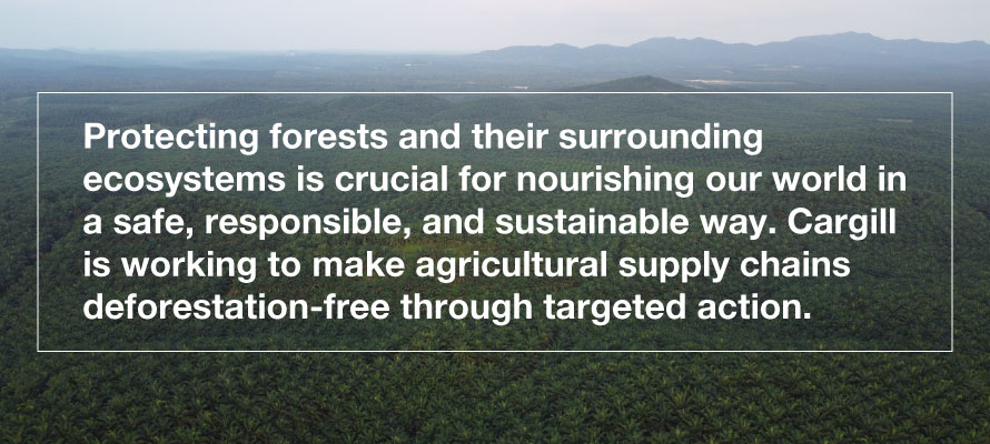 quote trees background image