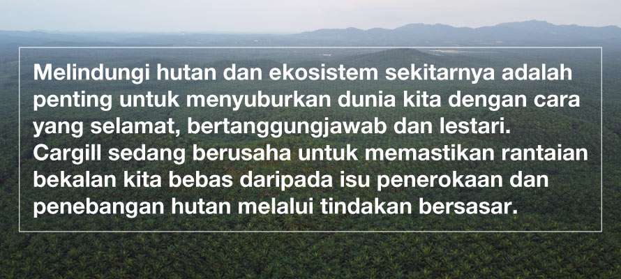 quote trees background image