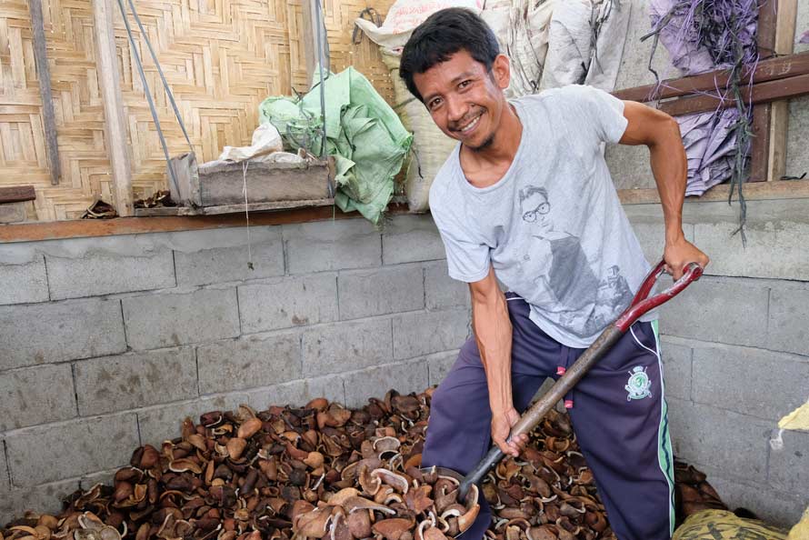 man shoveling coconuts image