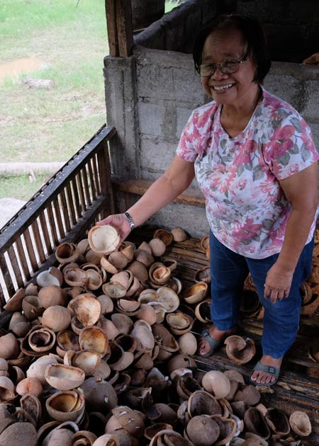 woman shoveling coconuts image